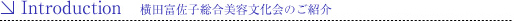 introduction